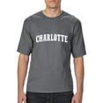 thumbnail image 1 of Artix - Big Men's T-Shirt, up to Tall Size 3XLT - Charlotte, 1 of 5