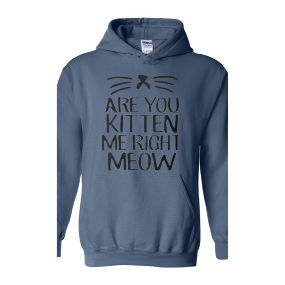 Artix - Mens Sweatshirts and Hoodies - Are You Kitten Me Right Meow