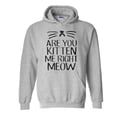 thumbnail image 1 of Artix - Mens Sweatshirts and Hoodies - Are You Kitten Me Right Meow, 1 of 5