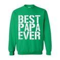 thumbnail image 1 of Artix - Mens Sweatshirts and Hoodies - Best Papa, 1 of 5