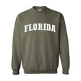 thumbnail image 1 of Artix - Mens Sweatshirts and Hoodies - Florida, 1 of 5
