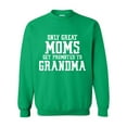 thumbnail image 1 of Artix - Plus Sweatshirts and Hoodies - Promoted to Grandma, 1 of 5