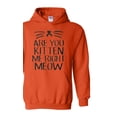 thumbnail image 1 of Artix - Women Sweatshirts and Hoodies - Are You Kitten Me Right Meow, 1 of 5