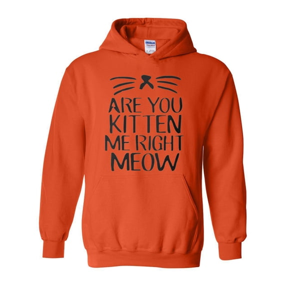 Artix - Women's Plus Sweatshirts and Hoodies - Are You Kitten Me Right Meow