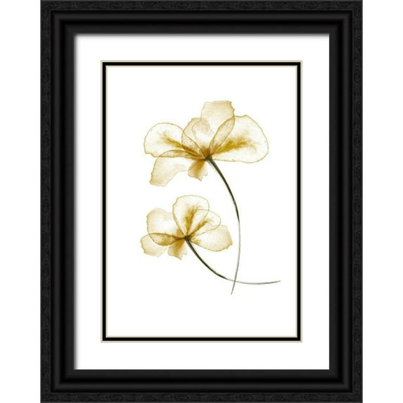 Artographie Studio 11x14 Black Ornate Wood Framed with Double Matting Museum Art Print Titled - Pressed Flowers