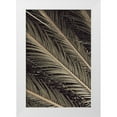 thumbnail image 1 of Artographie Studio 11x14 White Modern Wood Framed Museum Art Print Titled - Palmblad 002, 1 of 4
