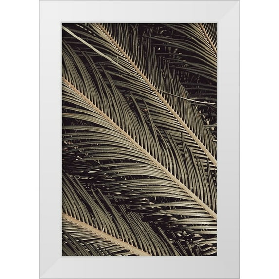 Artographie Studio 11x14 White Modern Wood Framed Museum Art Print Titled - Palmblad 002