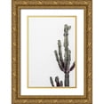 thumbnail image 1 of Artographie Studio 13x18 Gold Ornate Wood Framed with Double Matting Museum Art Print Titled - Cactus 003, 1 of 4