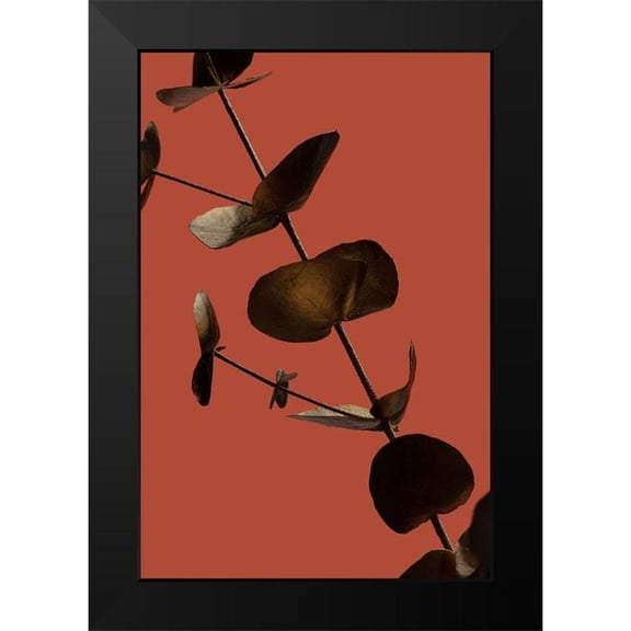 Artographie Studio 17x24 Black Modern Framed Museum Art Print Titled - Eucalyptus Gold Rust 03