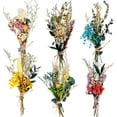 thumbnail image 1 of Artrylin Natural Dried Flower Bouquet Style B Wedding and Christmas Decor 6-Pieces, 1 of 8