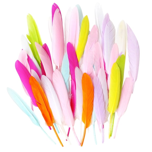 Natural DIY Feather Craft Toy Kit 50 Set Colorful Animal Feathers Arts & Crafts Decoration Material for Kids