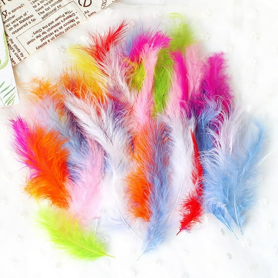Arts & Crafts DIY Toys - 50 Set Natural Colourful Feather Craft Kit for Kids - and Manual Decoration Materials