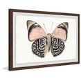 thumbnail image 1 of Artsy Pink and Black Wings Framed Painting Print, 1 of 6