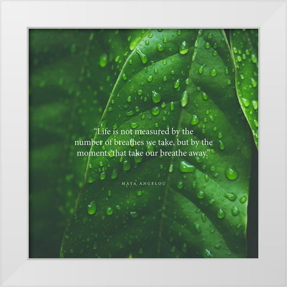 ArtsyQuotes 12x12 White Modern Wood Framed Museum Art Print Titled - Maya Angelou Quote: Take Our Breathe Away