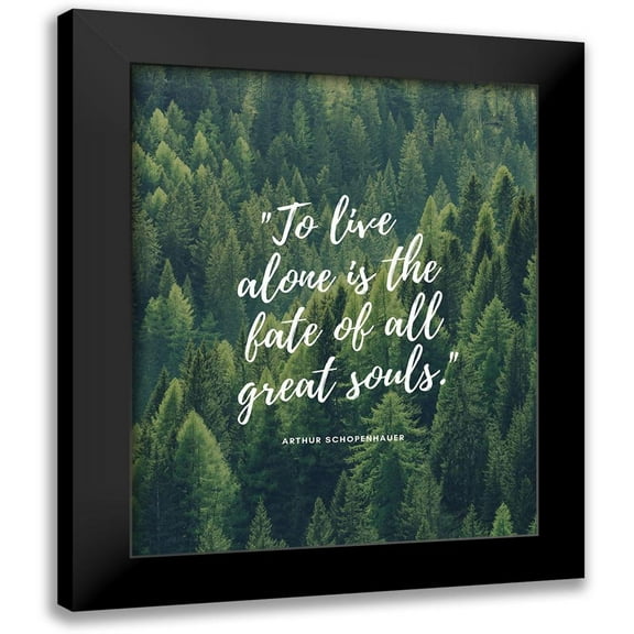 ArtsyQuotes 12x14 Black Modern Framed Museum Art Print Titled - Arthur Schopenhauer Quote: All Great Souls