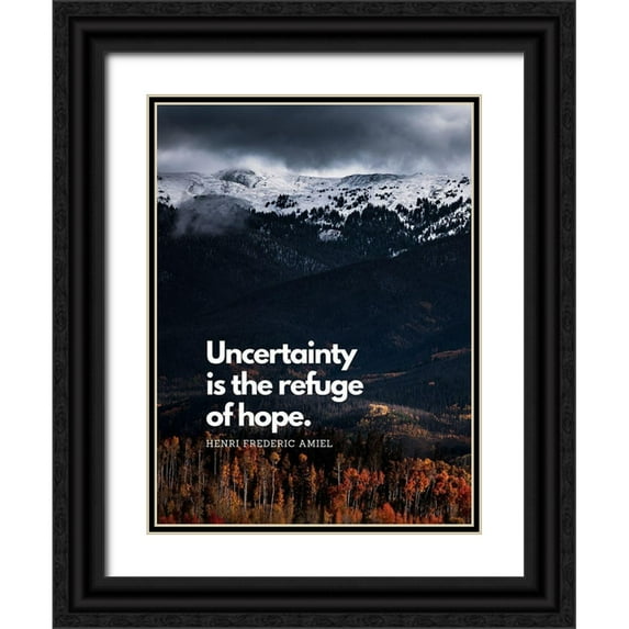 ArtsyQuotes 12x14 Black Ornate Wood Framed with Double Matting Museum Art Print Titled - Harry Finlay Quote: Every Mountain