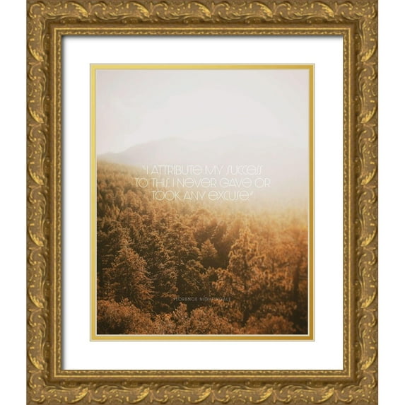 ArtsyQuotes 12x14 Gold Ornate Wood Framed with Double Matting Museum Art Print Titled - Florence Nightingale Quote: Success