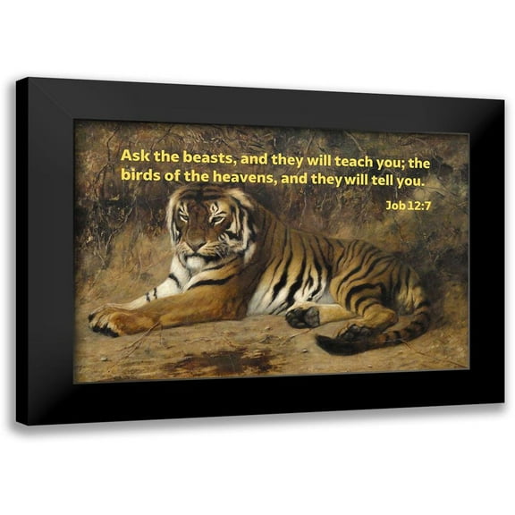 ArtsyQuotes 14x11 Black Modern Framed Museum Art Print Titled - Bible Verse Quote Job 12:7, Jean-Leon Gerome - Tiger II