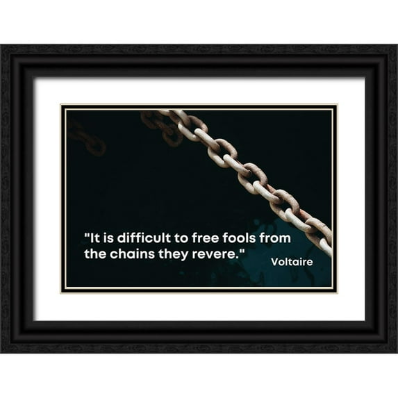 ArtsyQuotes 14x11 Black Ornate Wood Framed with Double Matting Museum Art Print Titled - Voltaire Quote: Free Fools