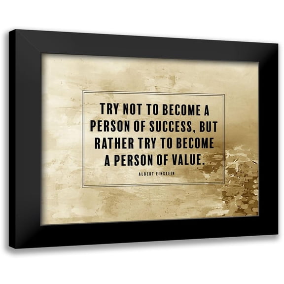 ArtsyQuotes 14x12 Black Modern Framed Museum Art Print Titled - Albert Einstein Quote: Person of Value