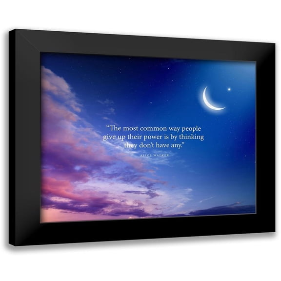 ArtsyQuotes 14x12 Black Modern Framed Museum Art Print Titled - Alice Walker Quote: Give Up Power