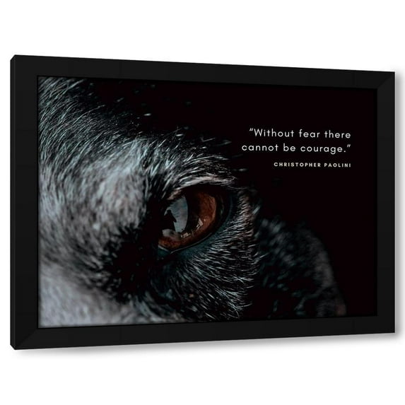 ArtsyQuotes 14x12 Black Modern Wood Framed Wall Art Titled - Christopher Paolini Quote: Without Fear