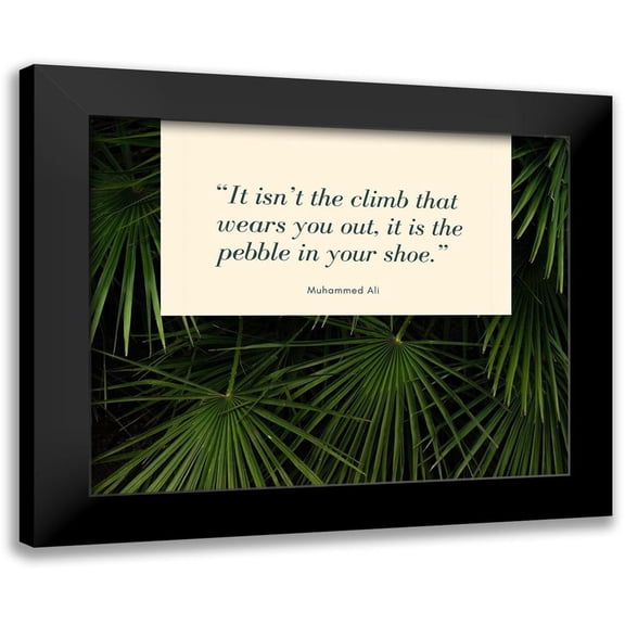 ArtsyQuotes 14x12 Black Modern Framed Museum Art Print Titled - Muhammad Ali Quote: The Pebble in Your Shoe