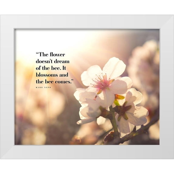 ArtsyQuotes 14x12 White Modern Wood Framed Museum Art Print Titled - Mark Nepo Quote: Blossoms