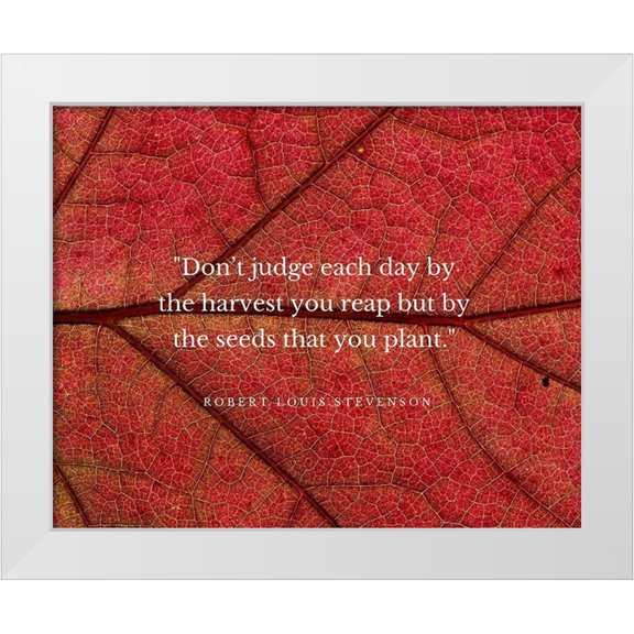 ArtsyQuotes 14x12 White Modern Wood Framed Museum Art Print Titled - Robert Louis Stevenson Quote: Dont Judge Each Day