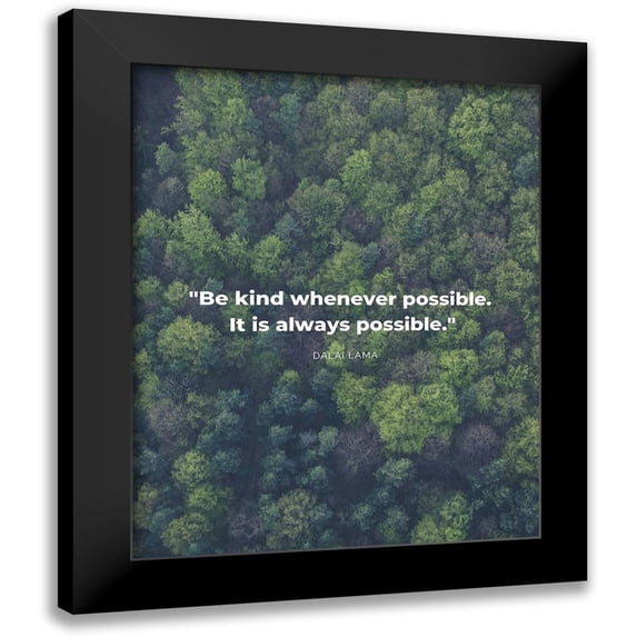 ArtsyQuotes 15x18 Black Modern Framed Museum Art Print Titled - Dalai Lama Quote: Be Kind