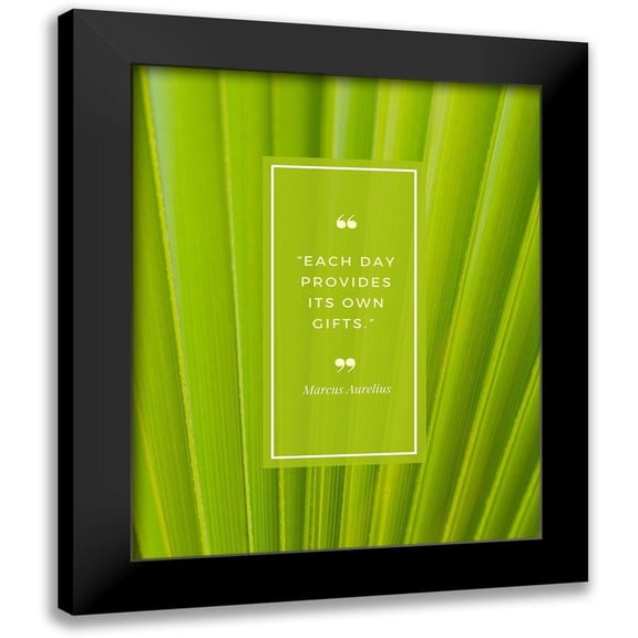 ArtsyQuotes 15x18 Black Modern Framed Museum Art Print Titled - Marcus Aurelius Quote: Each Day