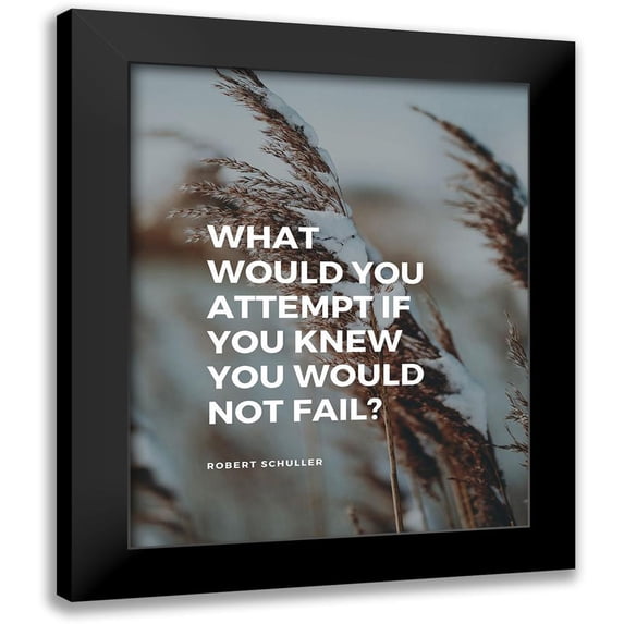 ArtsyQuotes 15x18 Black Modern Framed Museum Art Print Titled - Robert Schuller Quote: What Would You