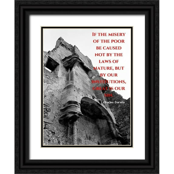 ArtsyQuotes 15x18 Black Ornate Wood Framed with Double Matting Museum Art Print Titled - Charles Darwin Quote: Misery of the Poor