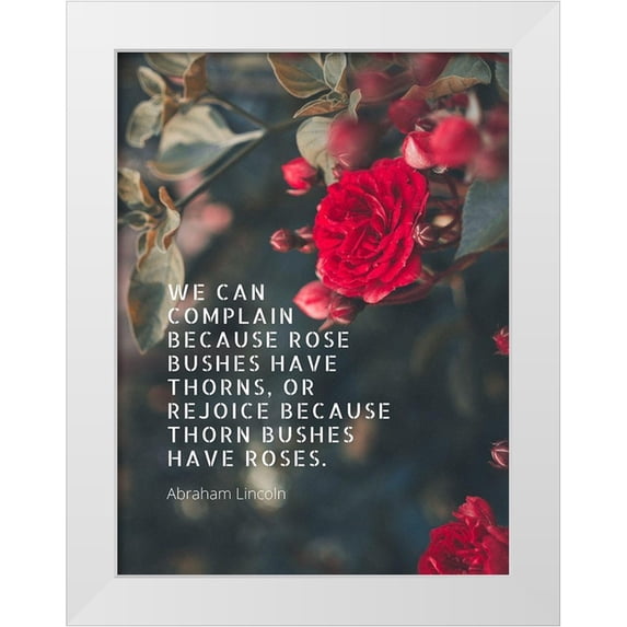 ArtsyQuotes 15x18 White Modern Wood Framed Museum Art Print Titled - Abraham Lincoln Quote: Bushes have Thorns