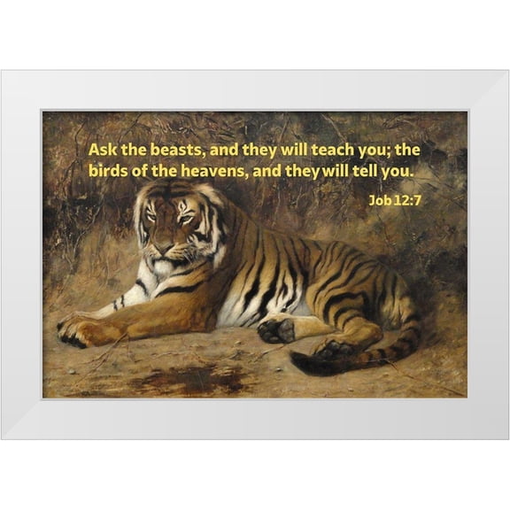 ArtsyQuotes 18x13 White Modern Wood Framed Museum Art Print Titled - Bible Verse Quote Job 12:7, Jean-Leon Gerome - Tiger II