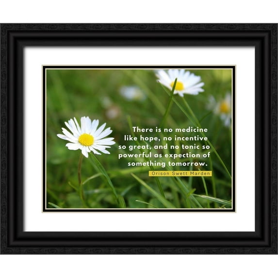 ArtsyQuotes 18x15 Black Ornate Wood Framed with Double Matting Museum Art Print Titled - Orison Swett Marden Quote: Expectation