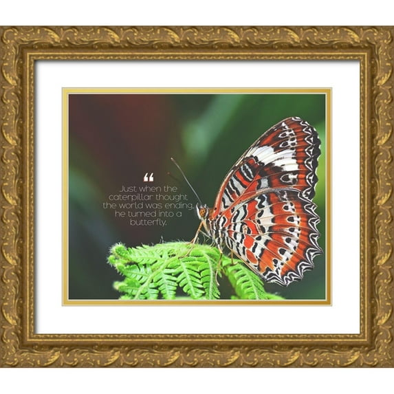 ArtsyQuotes 18x15 Gold Ornate Wood Framed with Double Matting Museum Art Print Titled - Artsy Quotes Quote: Turned into a Butterfly