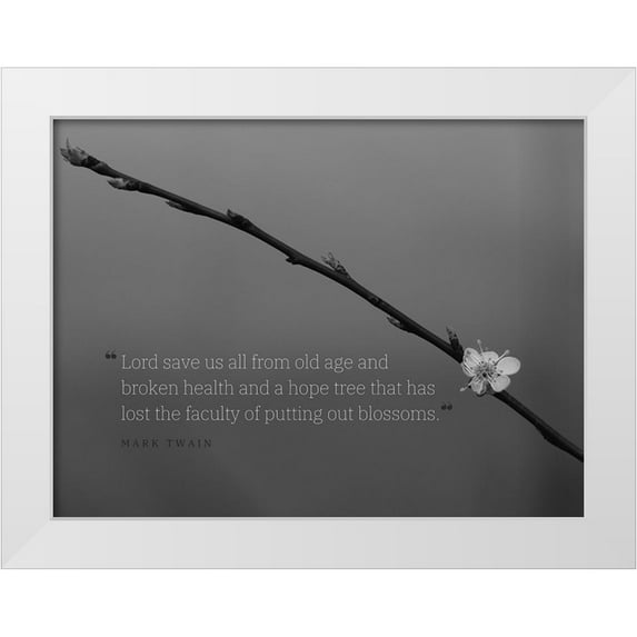 ArtsyQuotes 18x15 White Modern Wood Framed Museum Art Print Titled - Mark Twain Quote: Lord Save Us