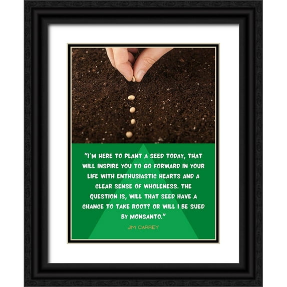ArtsyQuotes 19x24 Black Ornate Wood Framed with Double Matting Museum Art Print Titled - Jim Carrey Quote: Plant a Seed Today