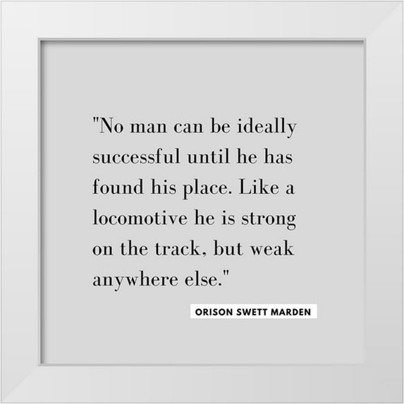 ArtsyQuotes 20x20 White Modern Wood Framed Museum Art Print Titled - Orison Swett Marden Quote: Ideally Successful