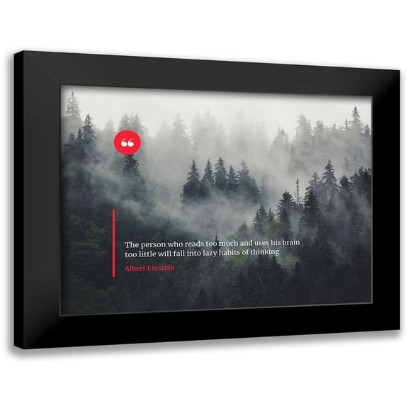 ArtsyQuotes 24x19 Black Modern Framed Museum Art Print Titled - Albert Einstein Quote: Lazy Habits