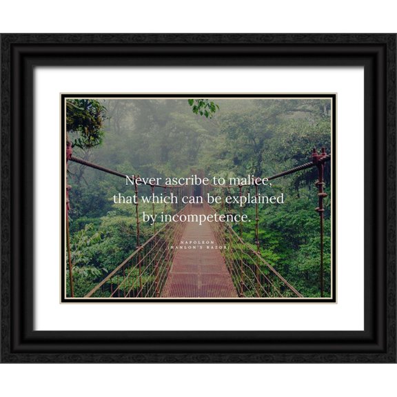 ArtsyQuotes 24x19 Black Ornate Wood Framed with Double Matting Museum Art Print Titled - Napoleon Quote: Ascribe to Malice