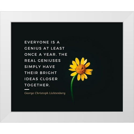 ArtsyQuotes 32x26 White Modern Wood Framed Museum Art Print Titled - Georg Christoph Lichtenberg Quote: Real Geniuses