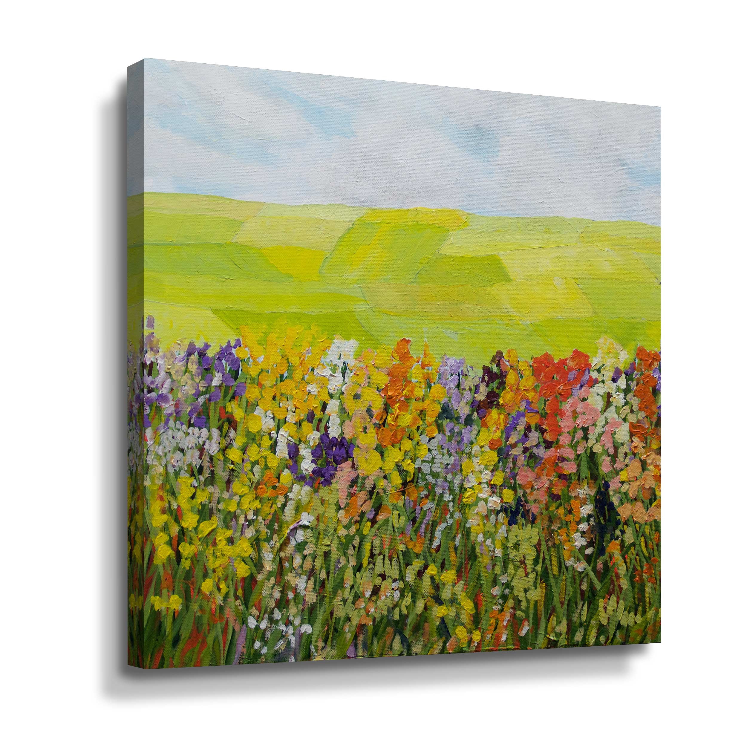 Artwall All Around the World, Gallery Wrapped Canvas by Allan Friedlander
