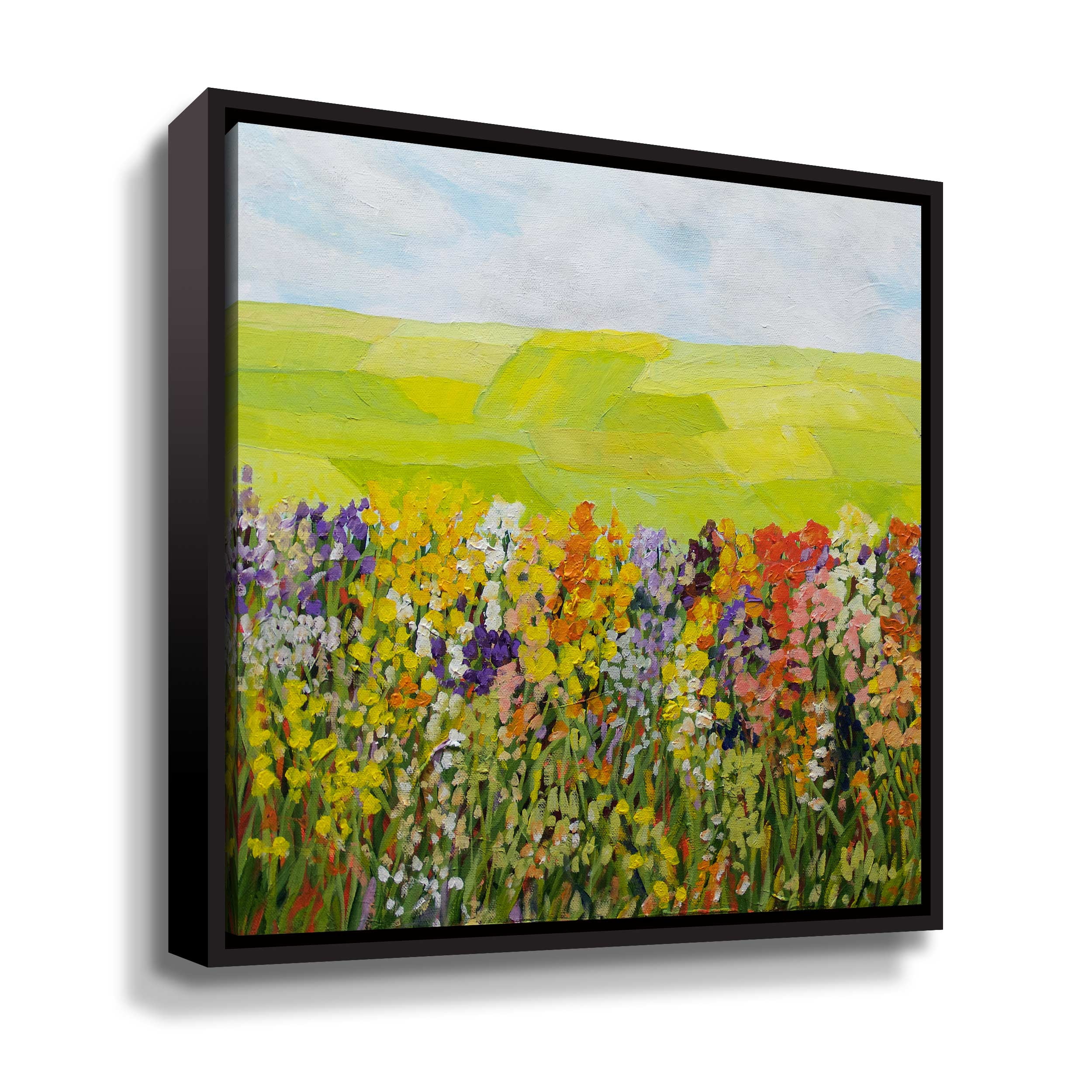 Artwall All Around the World, Gallery Wrapped Floater-framed Canvas by Allan Friedlander