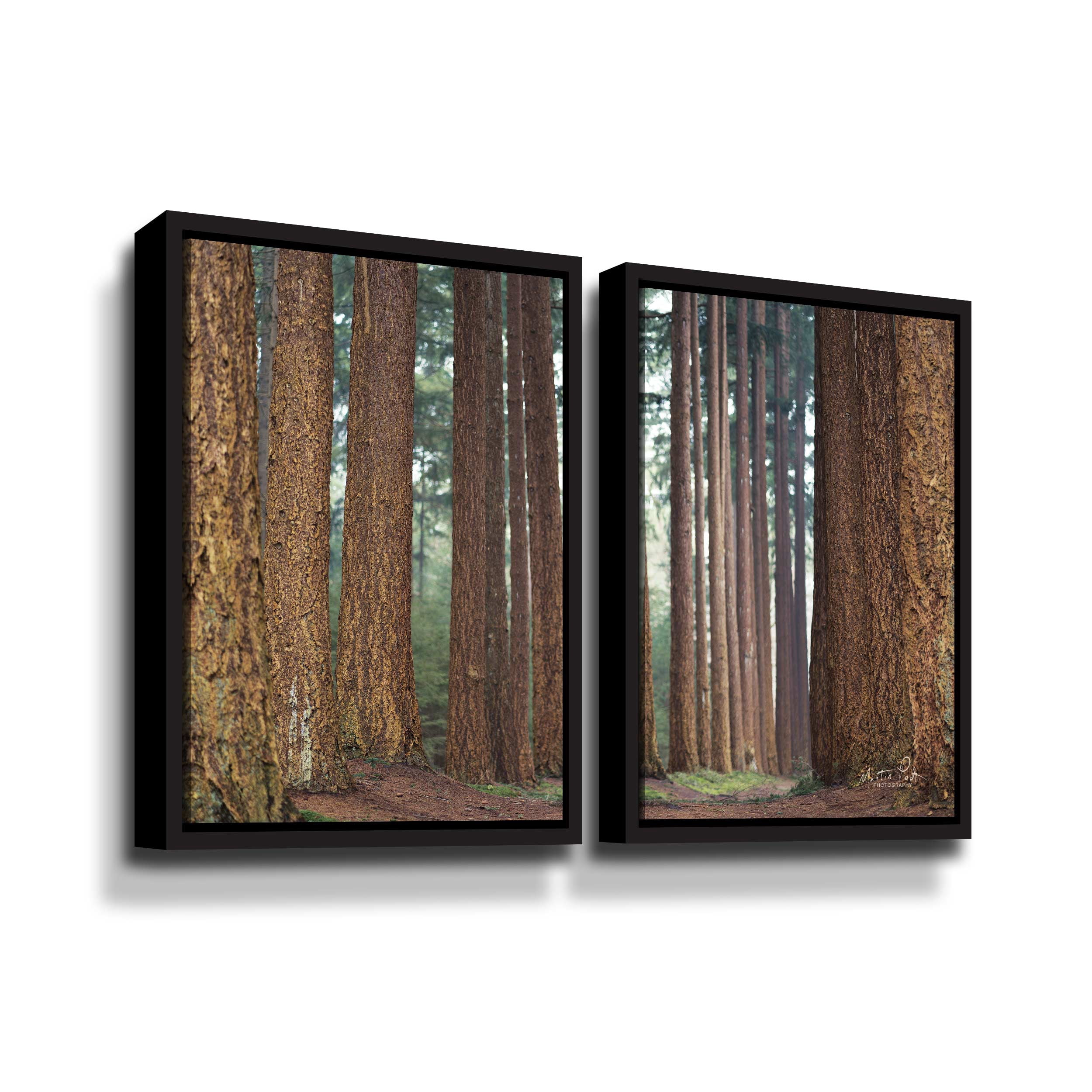 Artwall Bars, 2 Piece Floater Framed Canvas Set by Martin Podt