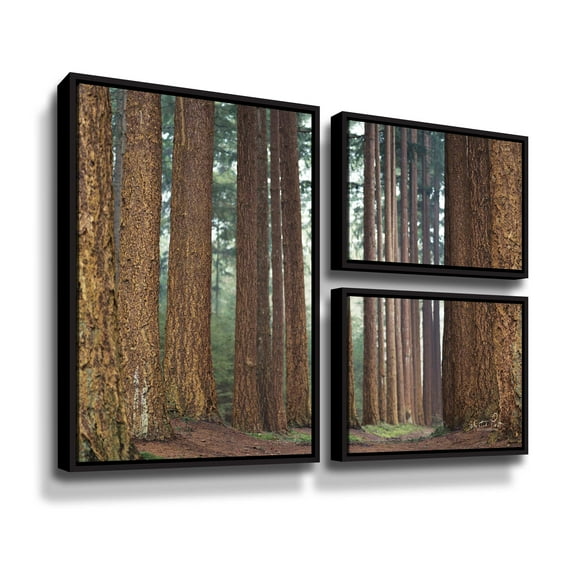 Artwall Bars, 3 Piece Floater Framed Canvas Flag Set by Martin Podt