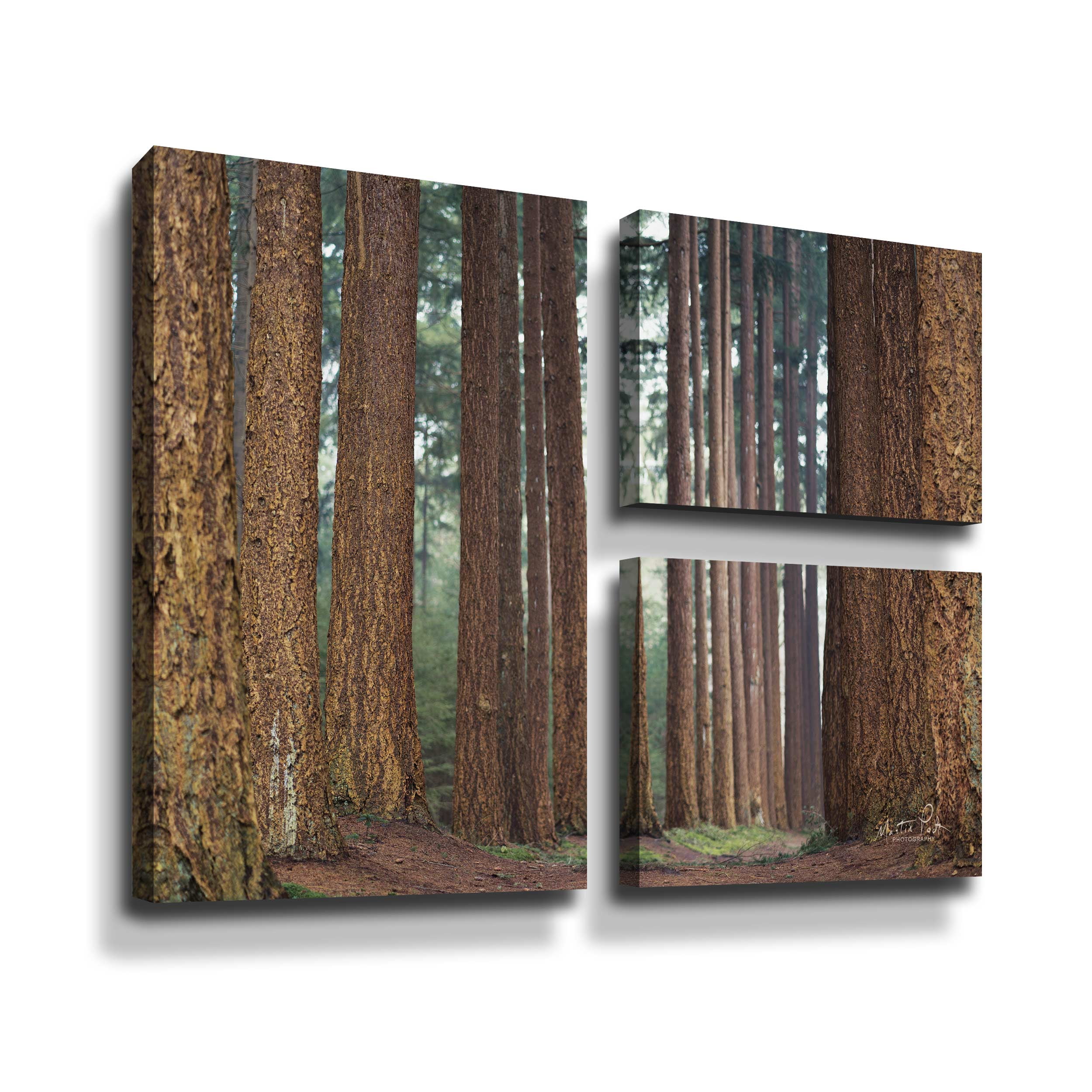 Artwall Bars, 3 Piece Gallery Wrapped Canvas Flag Set by Martin Podt