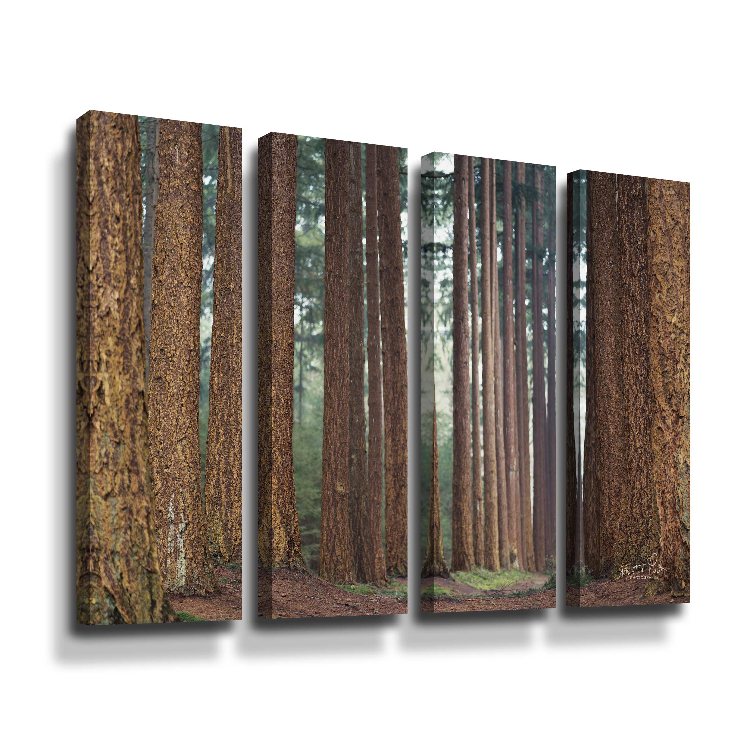 Artwall Bars, 4 Piece Gallery Wrapped Canvas Set by Martin Podt