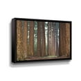 thumbnail image 1 of Artwall Bars, Gallery Wrapped Floater-framed Canvas by Martin Podt, 1 of 3